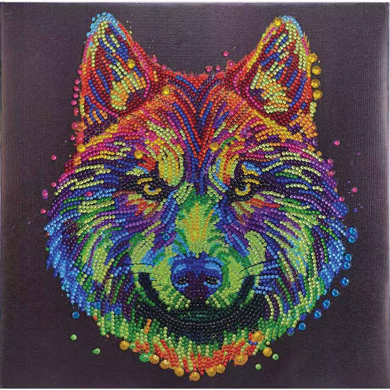 Crystal Art Colorful Wolf Diamond Painting